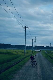 農道 農道 夏,田舎,田んぼの写真素材