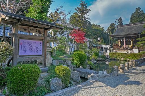 滋賀・近江八幡市 沙沙貴神社 呑月の庭 滋賀・近江八幡市 沙沙貴神社 呑月の庭 沙沙貴神社,呑月の庭,鈍穴の庭の写真素材
