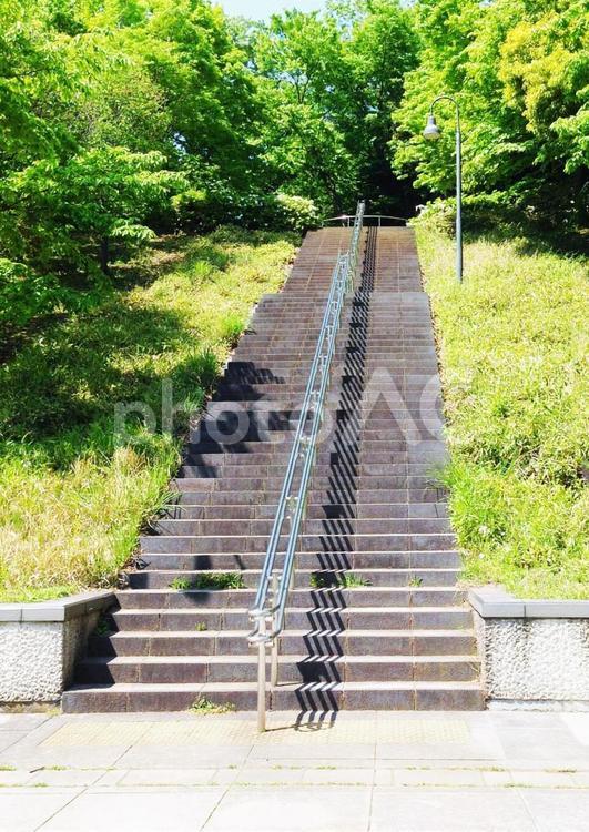 公園の階段 踏段,歩きます,歩道の写真素材