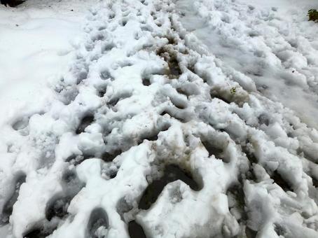 雪の降り積もった住宅地の遊歩道 雪の降り積もった住宅地の遊歩道 雪,2月,冬の写真素材