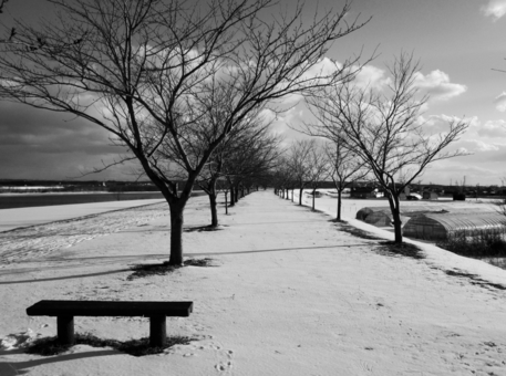 ベンチのある風景1 ベンチのある風景1の写真