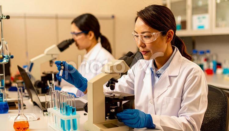 研究所で顕微鏡をのぞく女性の研究者 顕微鏡,試験管,試薬の写真素材