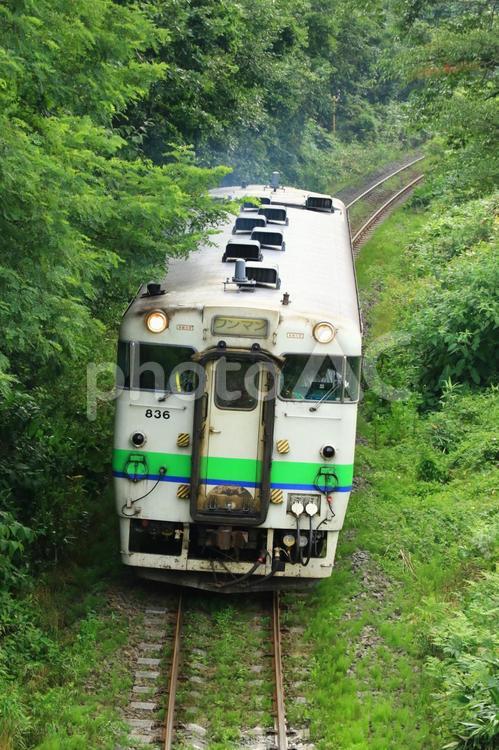 森を走る列車 列車,鉄道,函館本線の写真素材