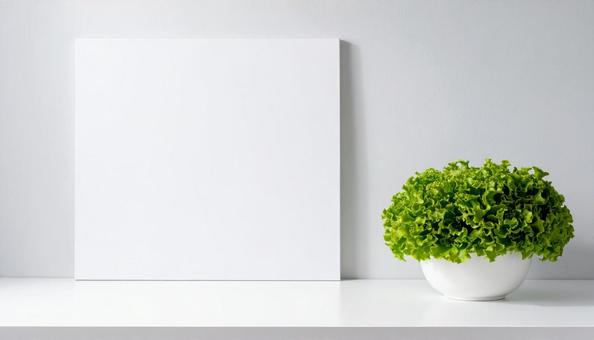 レタス、コピースペース レタス、コピースペースの写真