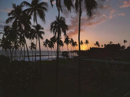ロサンゼルス　夕暮れ ロサンゼルス,夕暮れ,ヤシの写真素材