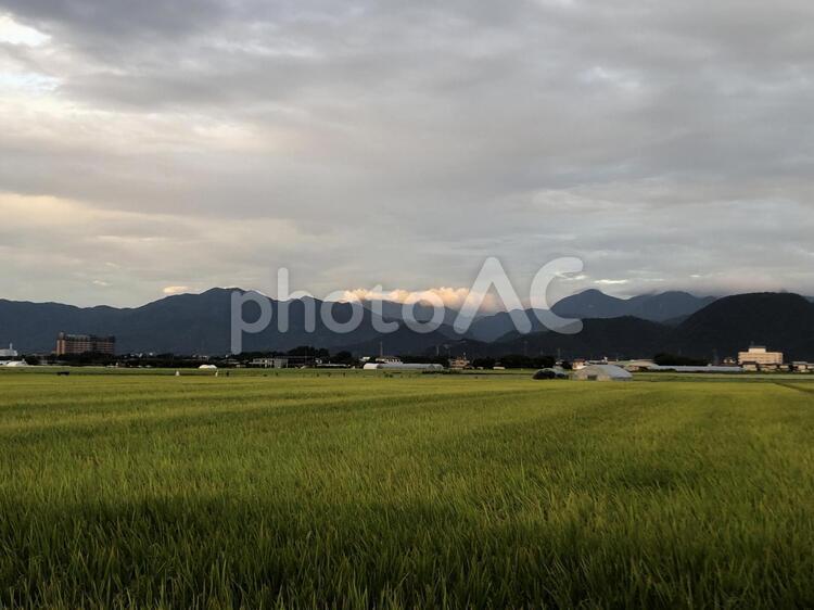 山形　田んぼ　９月　秋　雲　稲穂　夕日 山形,田んぼ,９月の写真素材
