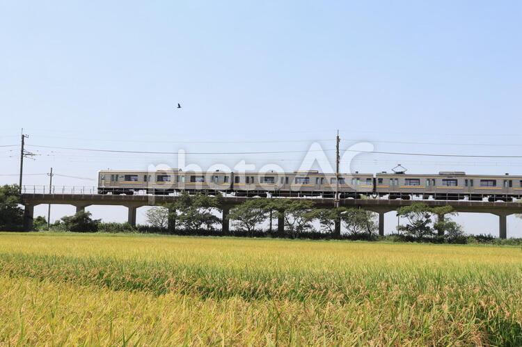 千葉県香取市　JR鹿島線十二橋駅付近からの撮影 jr鹿島線,鹿島線,十二橋駅の写真素材