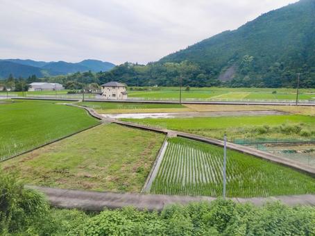 身延線車窓から富士宮市長貫の水田風景 身延線車窓から富士宮市長貫の水田風景 jr身延線,水田風景,車窓風景の写真素材