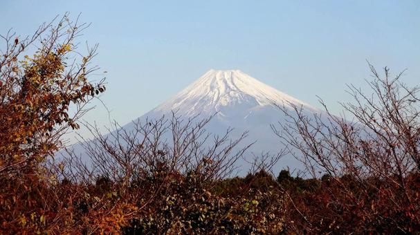 富士山 富士山の写真