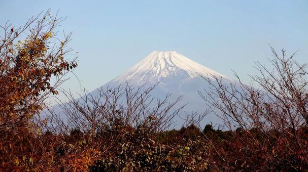 Mount Fuji, fuji núi, sơn mài nhật, tuyết, JPG