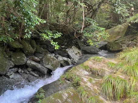 地蔵寺川 地蔵寺川の写真