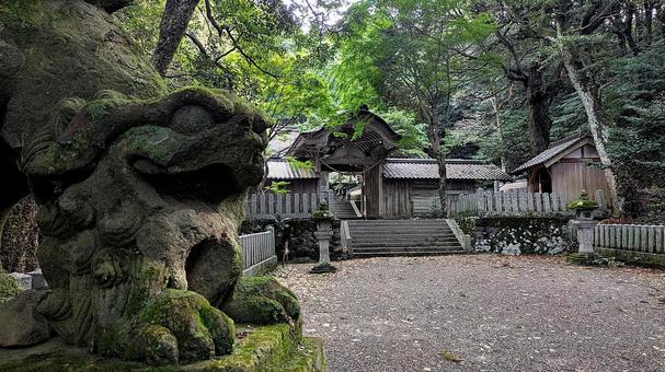 京丹後市の竹野神社 神社,京都,京丹後の写真素材