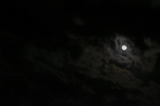 月と雲 月と雲の写真