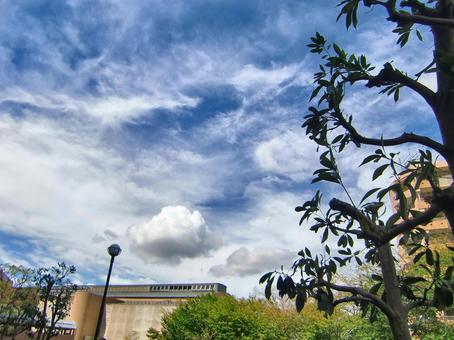 九月の雲-6 九月,青空,空の写真素材