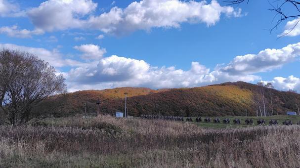 空と大自然の写真