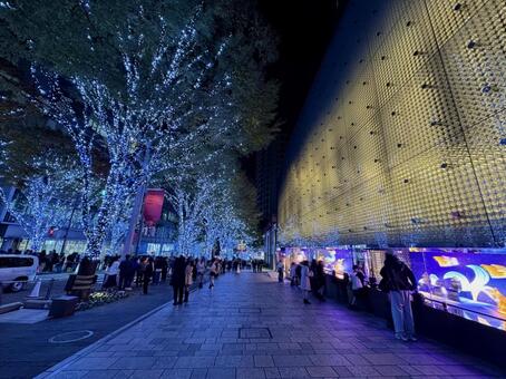 けやき坂の青いイルミネーション 六本木,けやき坂,イルミネーションの写真素材