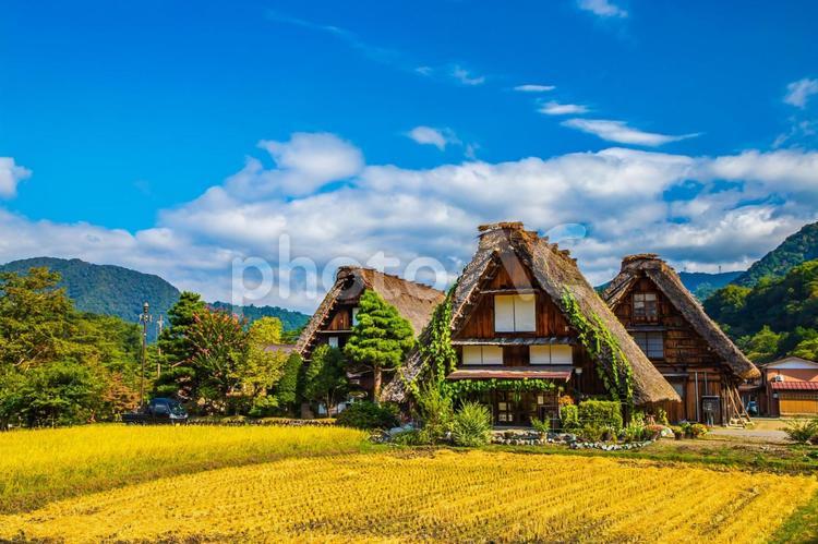岐阜県　白川郷の風景　 白川郷,岐阜県,風景の写真素材