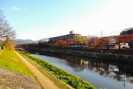 高野川 高野川の写真