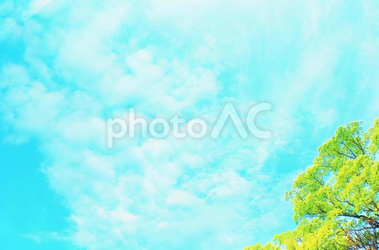 新緑の季節のイメージ素材 空,新緑,青空の写真素材