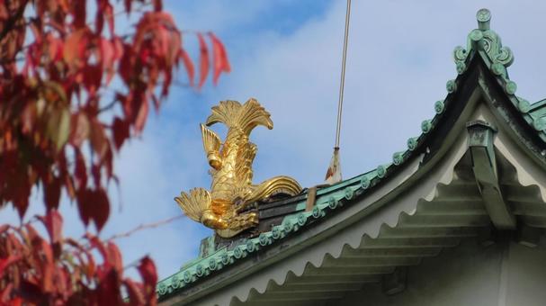 名古屋城　天守閣　金のシャチホコと紅葉 名古屋城,尾張徳川家,御三家の写真素材
