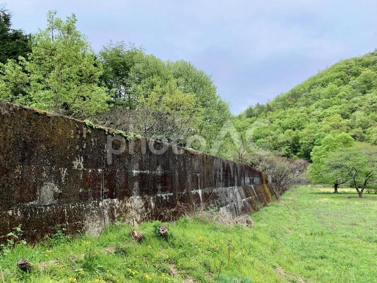 苔むした人工物が見える草原 草,壁,古いの写真素材