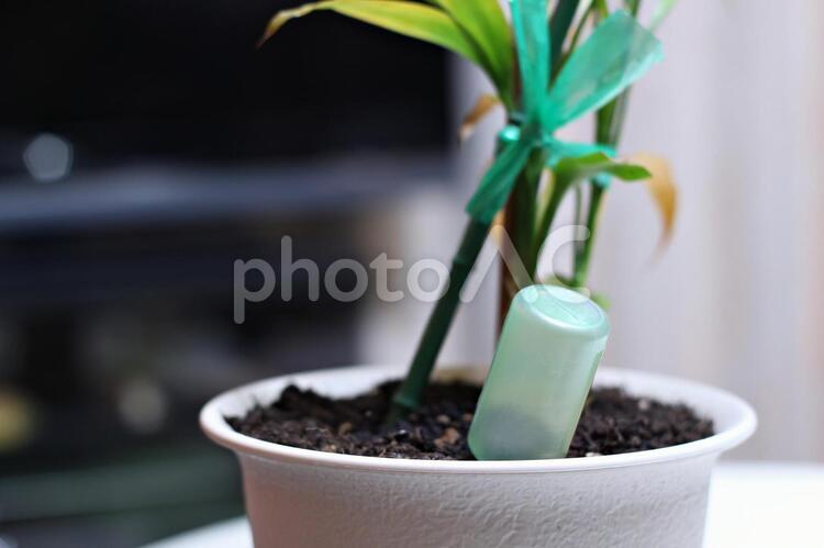 植物の栄養剤 グリーン,プランター,栄養の写真素材