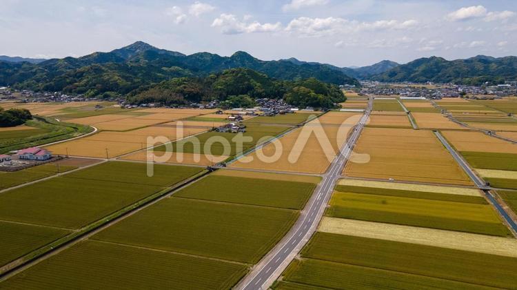 ドローン撮影田園風景（佐賀県鹿島市） 田園,佐賀県,鹿島市の写真素材