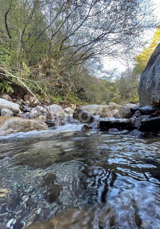 自然　川　風景 森林,川,自然の写真素材