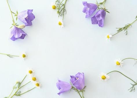 Flower frame (chamomile, ichthys), JPG