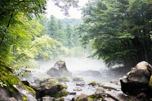 河 河 小川,森,夏の写真素材