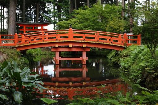 蝦蟆ヶ池 蝦蟆ヶ池の写真
