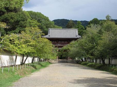 京都府-醍醐寺-仁王門と参道 京都府-醍醐寺-仁王門と参道 醍醐寺,寺,深雪山の写真素材