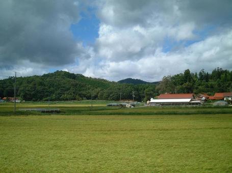 田舎の風景 田舎の風景の写真