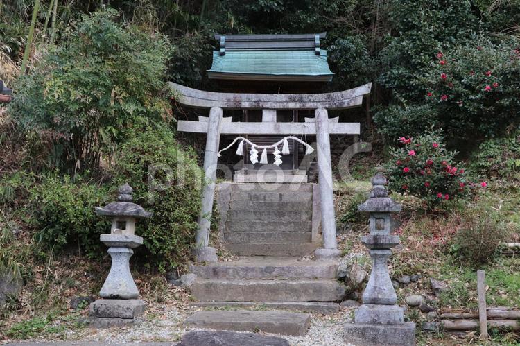 岡恵比須神社 岡恵比須神社,おかえびすじんじゃ,えびす様の写真素材