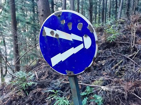 警笛鳴らせの写真