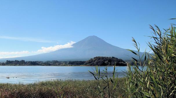 初秋の河口湖大石公園から望む富士山 初秋の河口湖大石公園から望む富士山 富士山,初秋,9月の写真素材