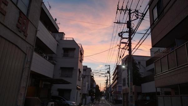 夕暮れの駒込染井通り 夕焼け,駒込,東京の写真素材