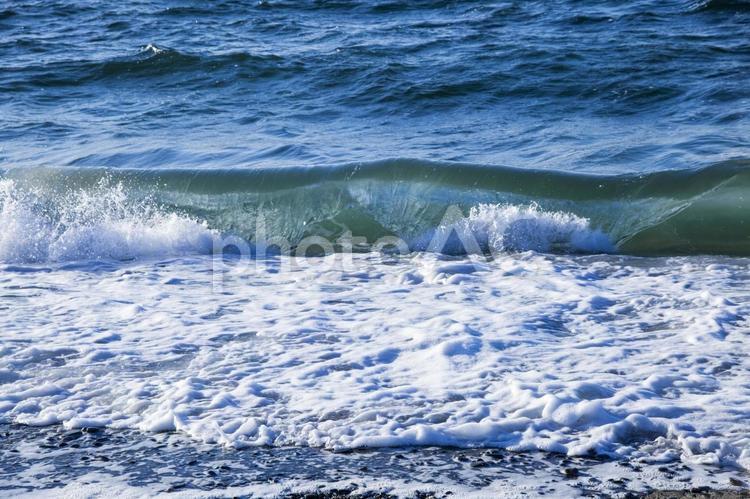 白谷海浜公園17（田原市） 田原市,白谷,海水浴の写真素材