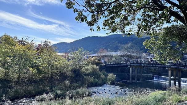 Photo, kyoto, arashiyama, natural, 