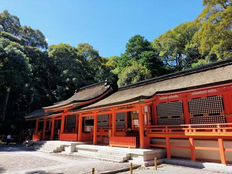 夏の宇佐神宮 夏の宇佐神宮 宇佐神宮,神社,神殿の写真素材