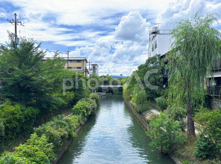 蓬莱橋から見える夏の三十石船乗り場 伏見,港町,蓬莱橋の写真素材