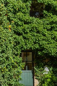 植物に囲まれた建物 植物に囲まれた建物の写真