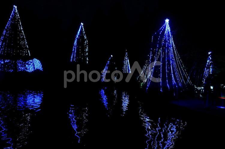 夏のイルミネーション かがやき,ぴかぴか,イブの写真素材