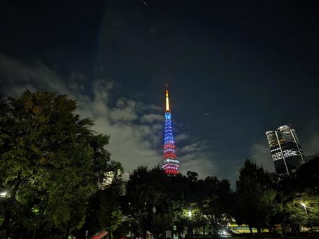 夜空に輝く東京タワー 東京タワー,夜景,ライトアップの写真素材
