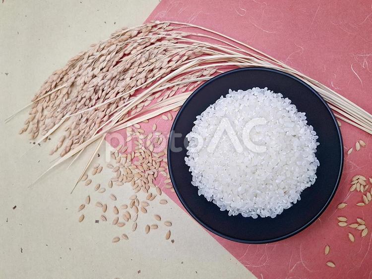 稲穂と籾と白米_和紙バック_4 秋,秋の味覚,米の写真素材