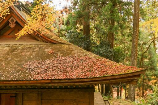 室生寺 室生寺,女人高野,紅葉の写真素材