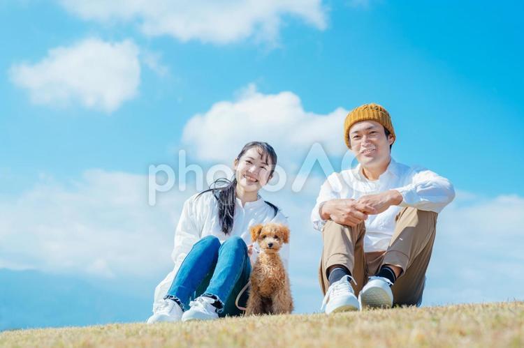 愛犬と遊ぶ男女（カメラ目線） 犬,夫婦,新生活の写真素材