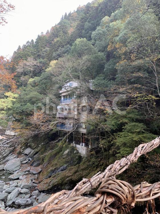徳島県三好市の『祖谷のかずら橋』 祖谷のかずら橋,祖谷渓,吊り橋の写真素材