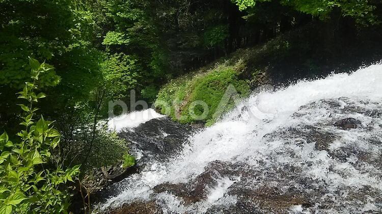 湯ノ湖北部の湯滝 奥日光,湯ノ湖,栃木県の写真素材