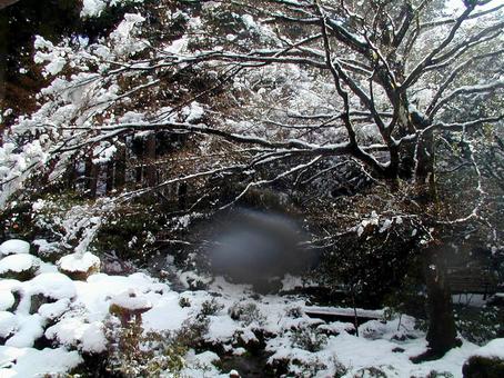 京都 京都の写真